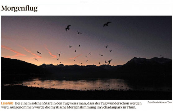 Leserbild Thuner Tagblatt und Berner Zeitung 8. Februar 2020