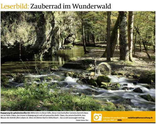 Leserbild Berner Zeitung und Thuner Tagblatt 8. November 2014