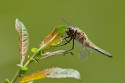 Naturschutz