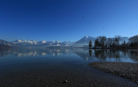 14. April 2015 auf der  Startseitehttp://www.fotocommunity.de