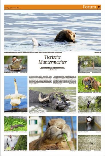 Jahresrückblick Berner Zeitung und Thuner Tagblatt 12 .Dezember 2015