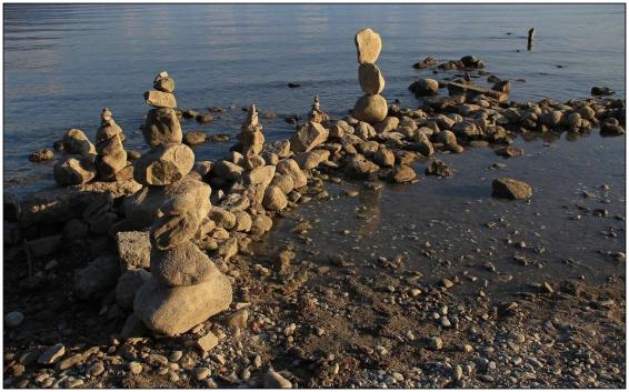 Leserbild Berner Zeitung und Thuner Tagblatt 17. Februar 2015