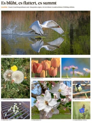 Thuner Tagblatt 25. April 2020