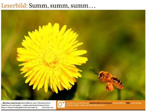 Leserbild Berner Zeitung und Thuner Tagblatt 8. April 2016