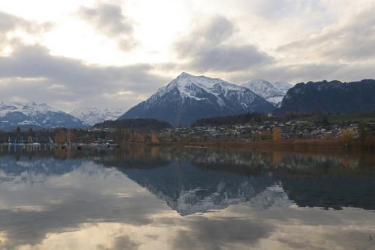 Leserbild Thuner Tagblatt und Berner Zeitung 28. November 2019